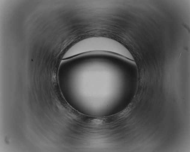 X0000103420176200809121315