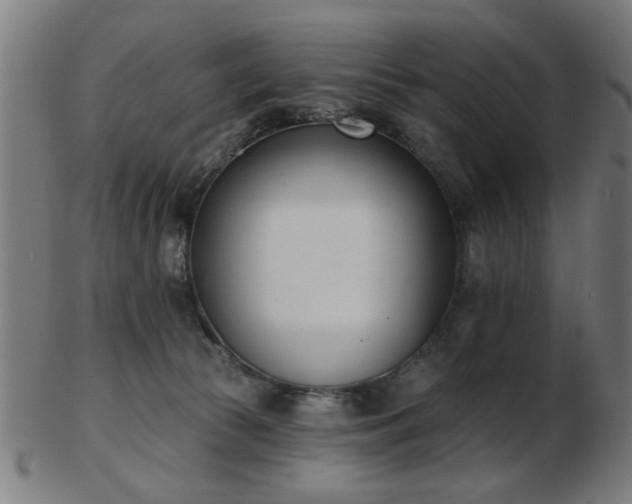 X0000103420177200809121315