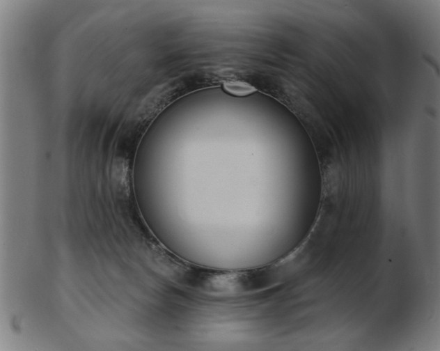 X0000103420178200809121315
