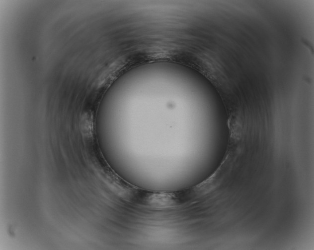 X0000103420179200809121315