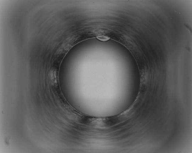 X0000103420182200809121315