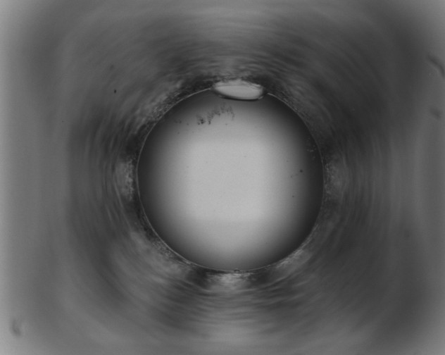 X0000103420184200809121315