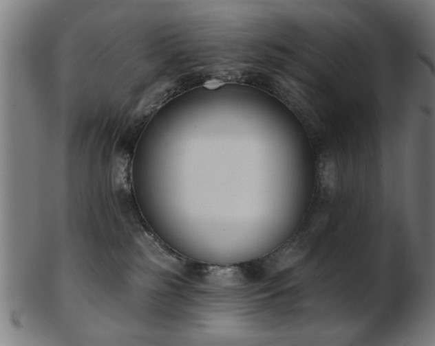X0000103420185200809121315