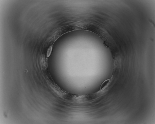 X0000103420186200809121315