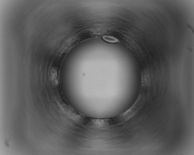 X0000103420187200809121315