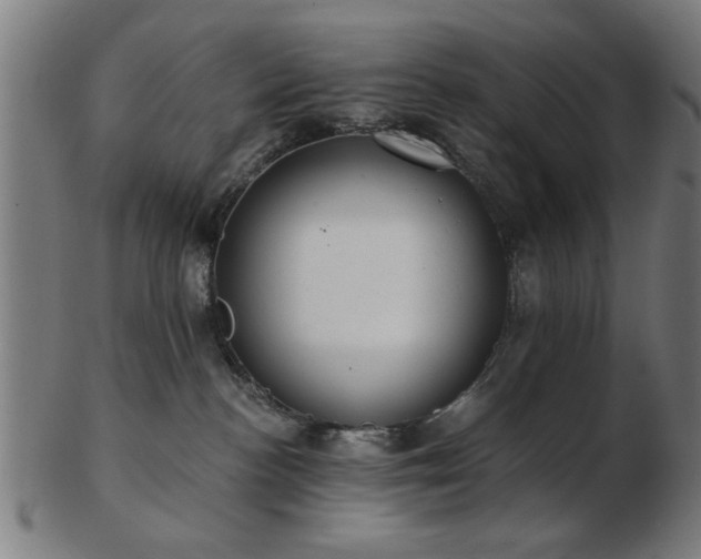 X0000103420188200809121315