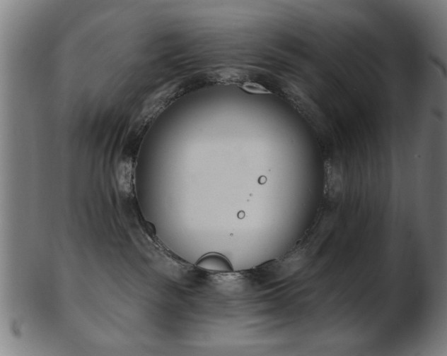 X0000103420189200809121315