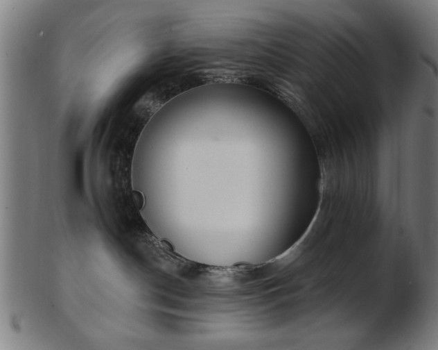 X0000103420190200809121315