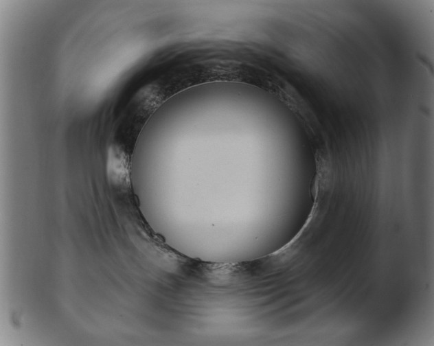 X0000103420191200809121315