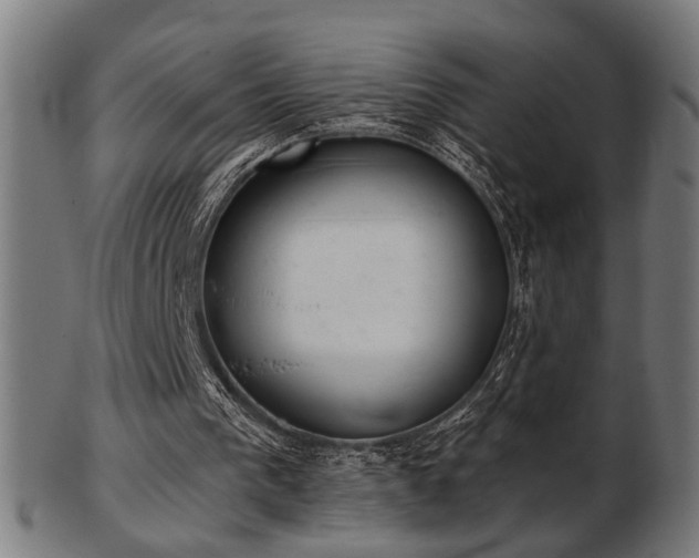 X0000103420193200809121315