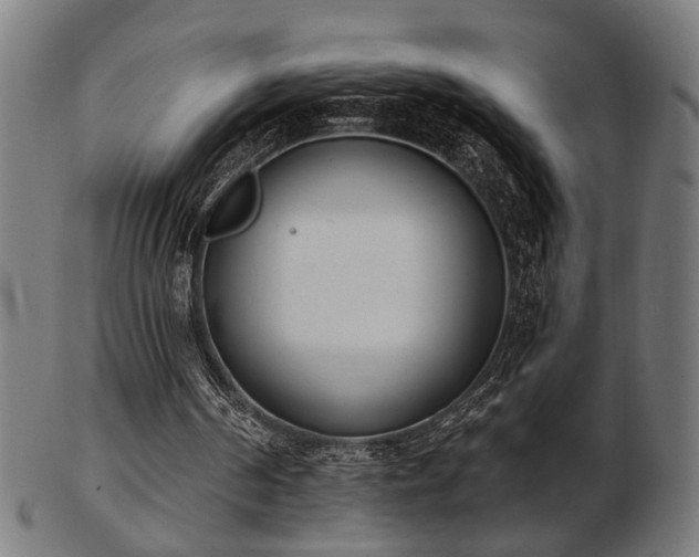 X0000103420194200809121315