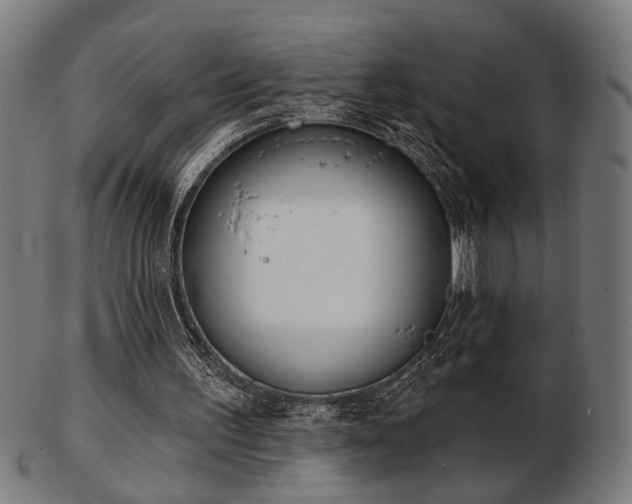 X0000103420195200809121315