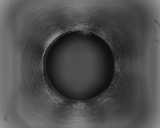 X0000103420196200809121315