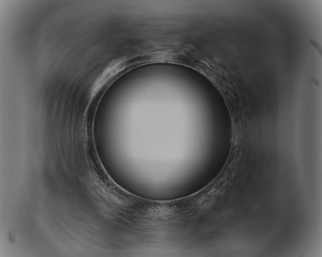X0000103420198200809121315