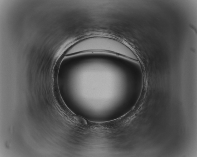 X0000103420199200809121315