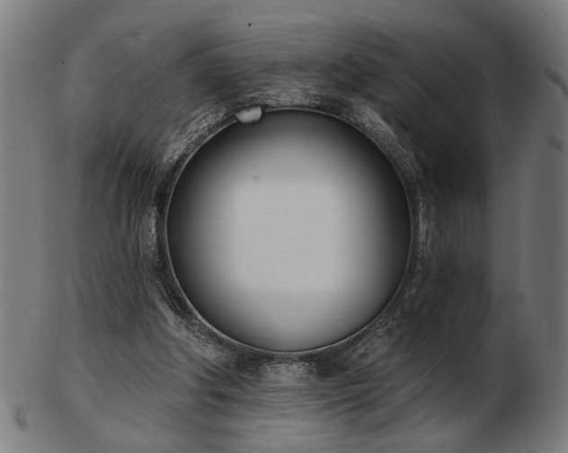 X0000103420202200809121315