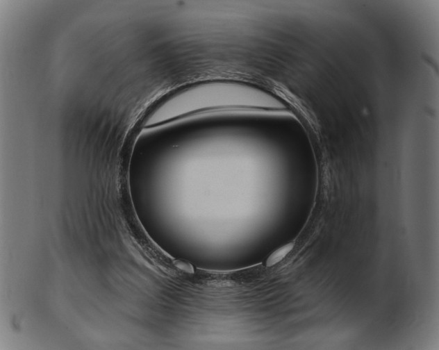X0000103420203200809121315