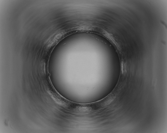 X0000103420205200809121315