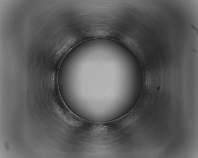 X0000103420206200809121315
