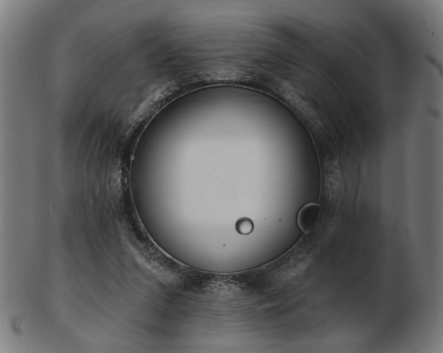 X0000103420207200809121315