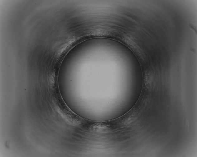 X0000103420208200809121315
