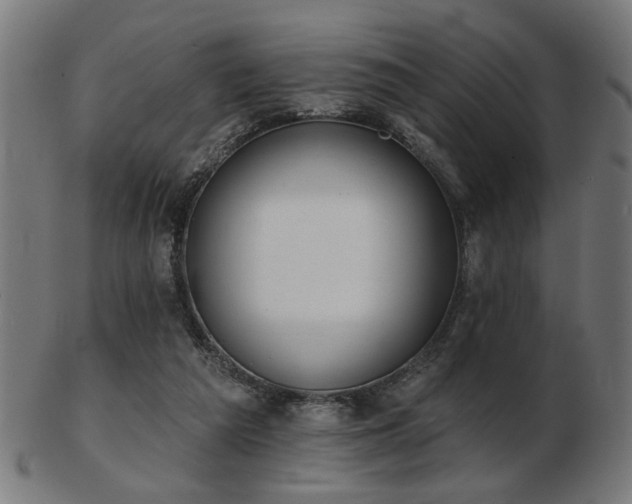 X0000103420209200809121315