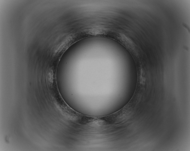 X0000103420210200809121315