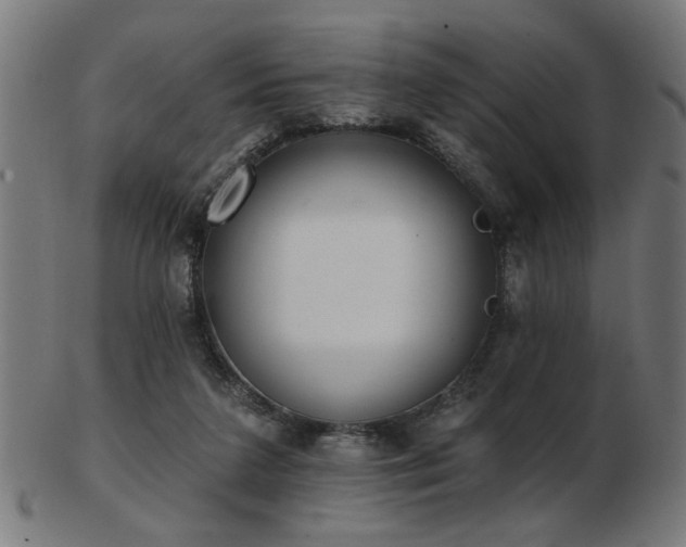 X0000103420211200809121315