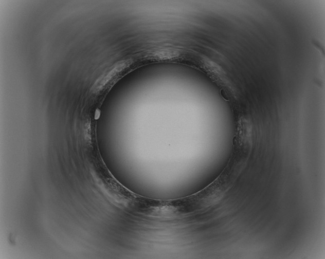 X0000103420212200809121315
