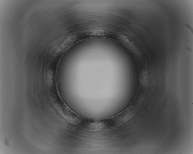 X0000103420213200809121315