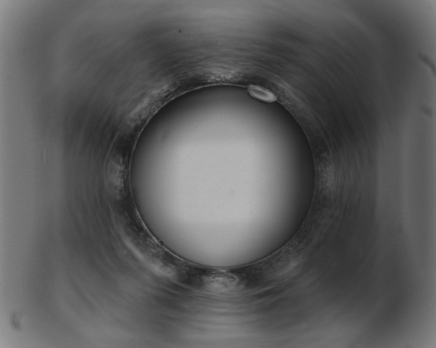 X0000103420215200809121314