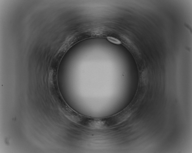 X0000103420217200809121314