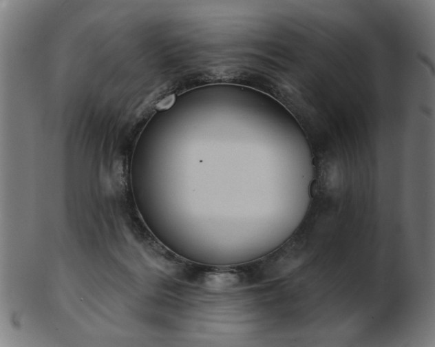 X0000103420220200809121314