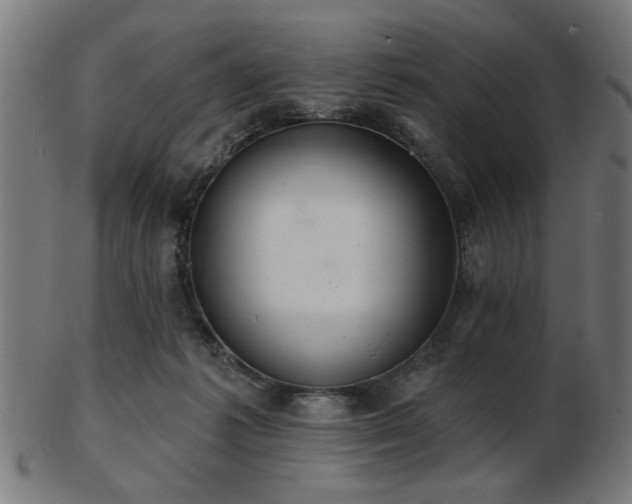 X0000103420221200809121314