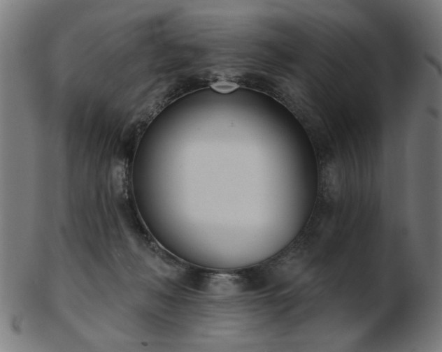 X0000103420222200809121314