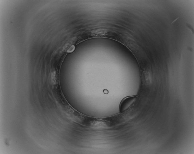 X0000103420224200809121314