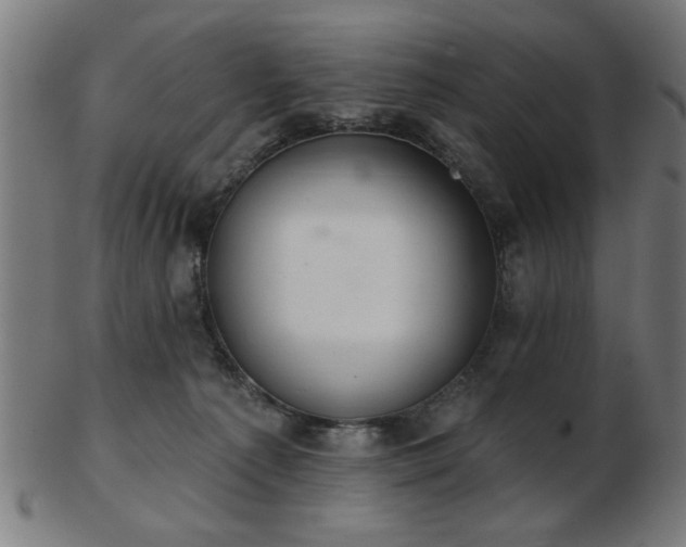 X0000103420225200809121314