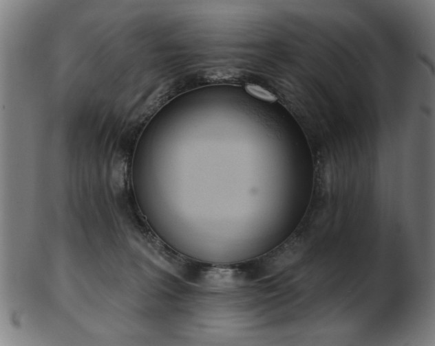X0000103420227200809121314