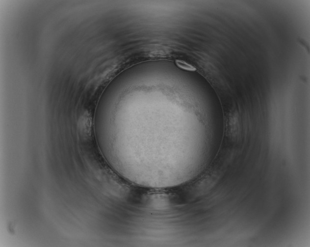 X0000103420228200809121314