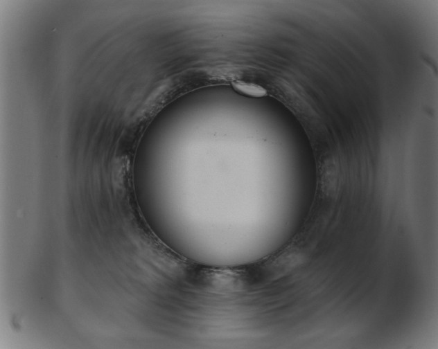 X0000103420229200809121314