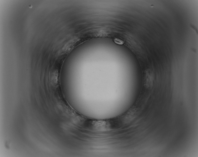 X0000103420230200809121314