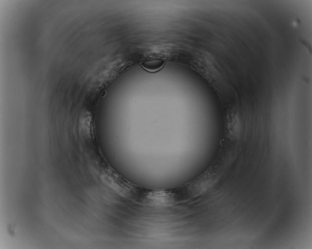 X0000103420231200809121314