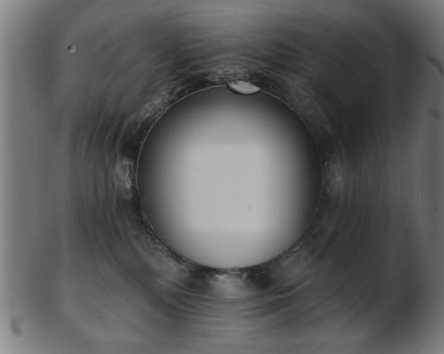 X0000103420232200809121314