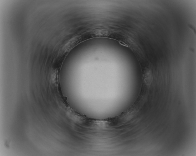 X0000103420233200809121314