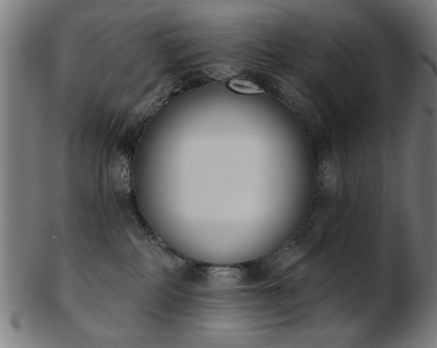 X0000103420234200809121314