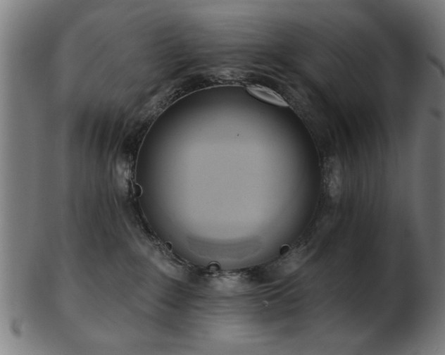 X0000103420235200809121314