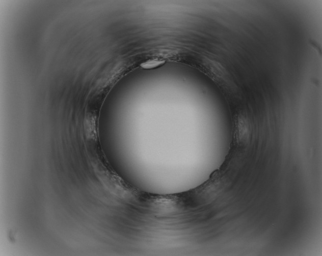 X0000103420236200809121314