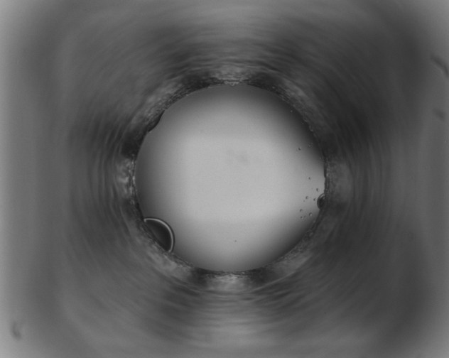 X0000103420237200809121314