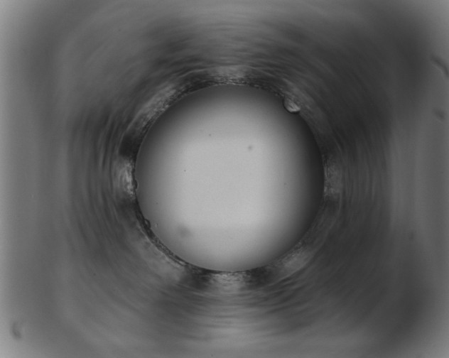 X0000103420238200809121314