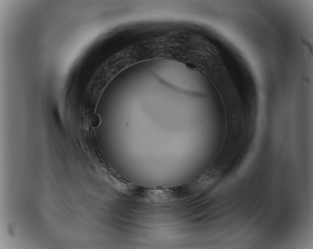 X0000103420239200809121314